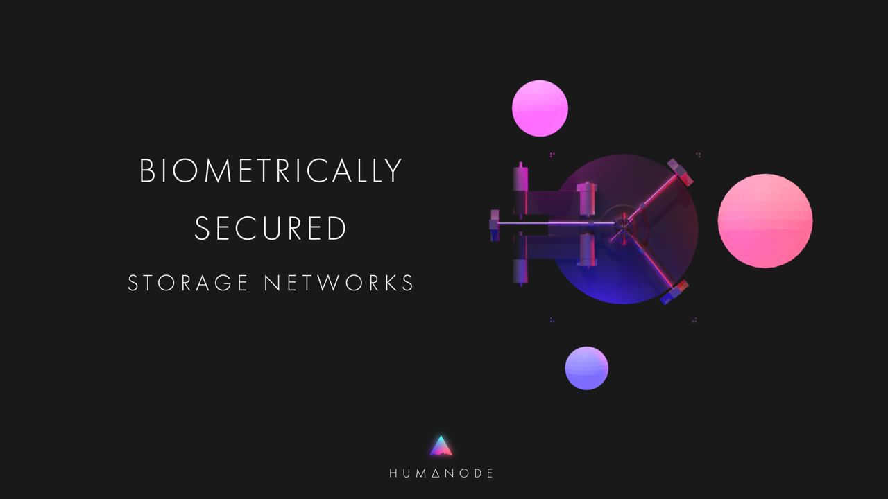 Biometrically secured storage networks