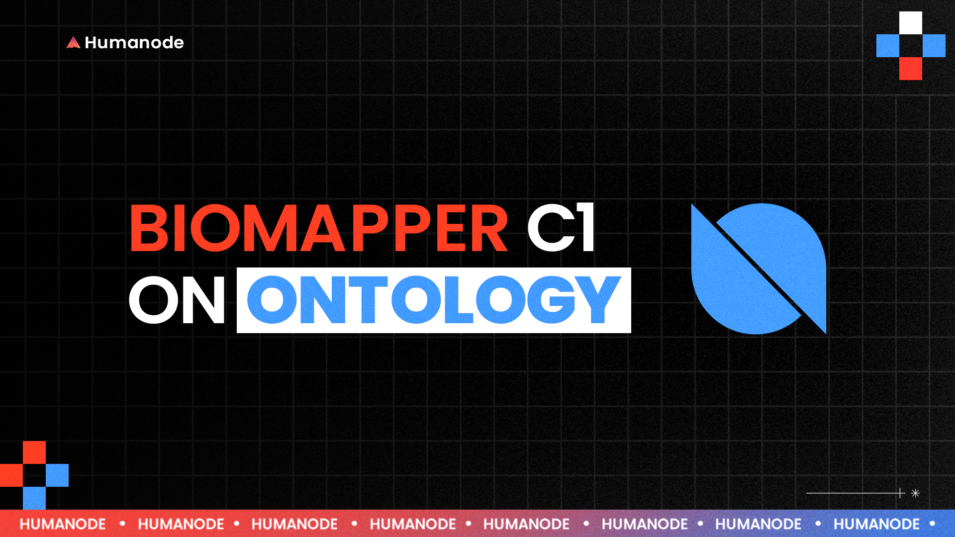 Biomapper c1 deployed on Ontology EVM