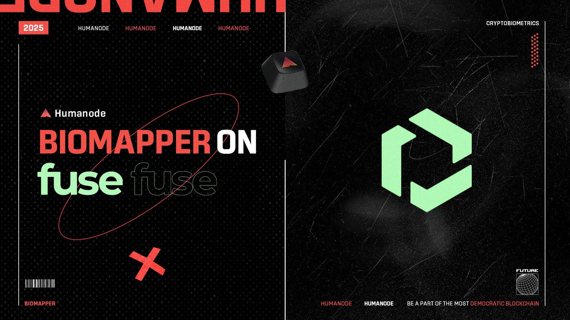 Biomapper C2 is deployed on Fuse
