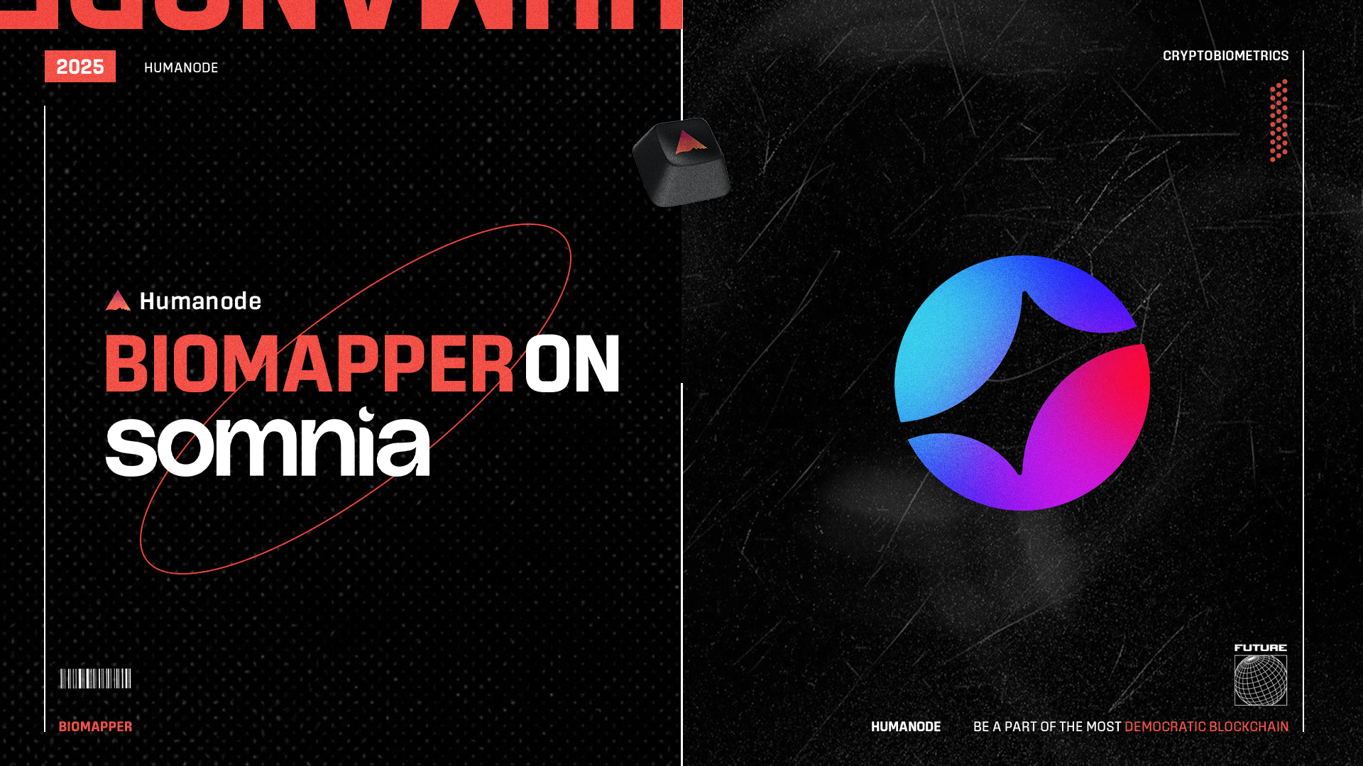 Biomapper C2 deployed on Somnia