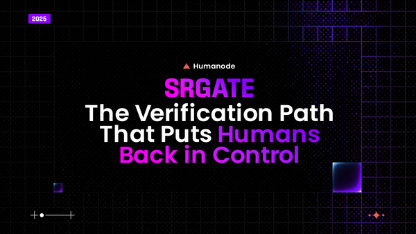 Why SRGate matters for anyone building online